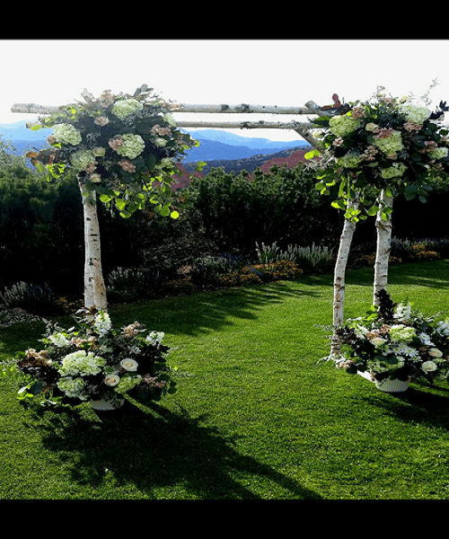 nique ceremony arch with trees