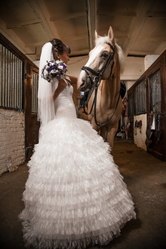 Beautiful bride holding horse by rein