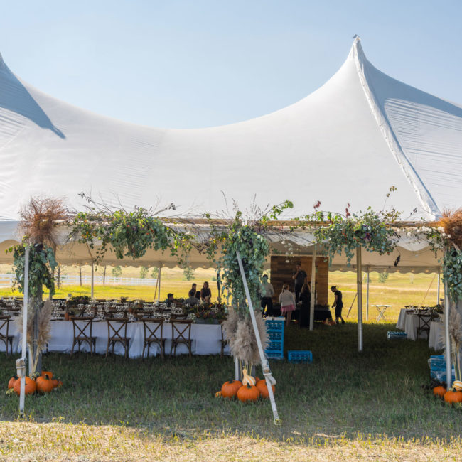 Open Air Wedding Tents Are Trending in 2022
