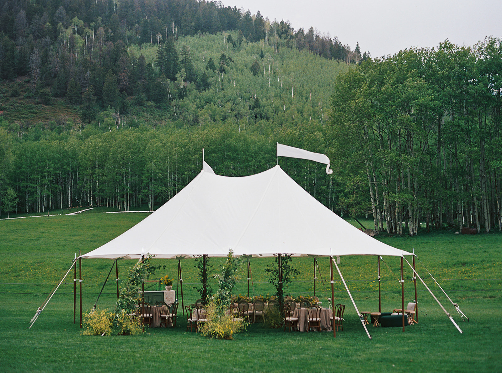 tent rentals