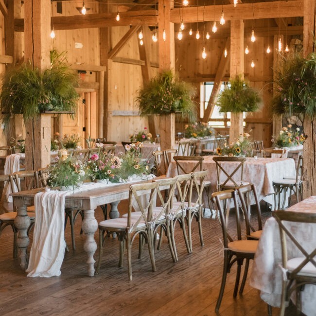 wedding rentals