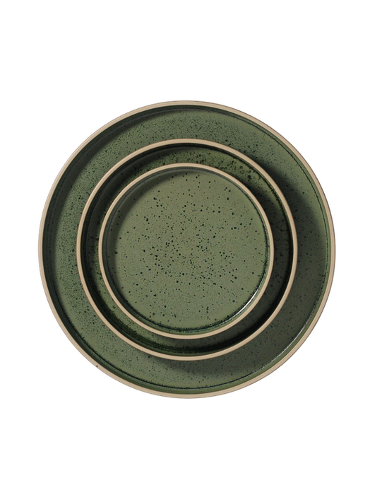 Speckled green stoneware place setting rental